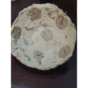 Paper Mache Bowl Handcrafted Signed Vintage Artesian Leaves 7 inches